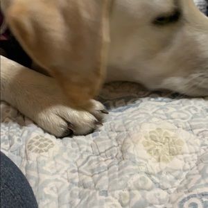 Meet your Posher, Cathy